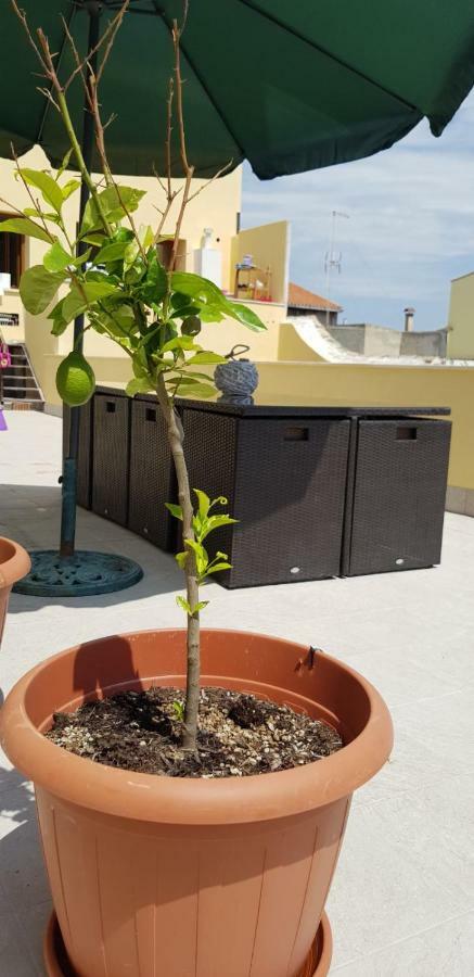 Casa Margherita Quartu SantʼElena Dış mekan fotoğraf